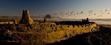 Want long-term product success? Be careful what you build