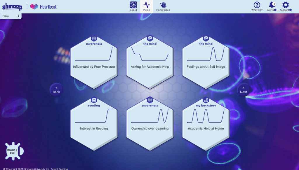 Screenshot of SEL product Shmoop Heartbeat
